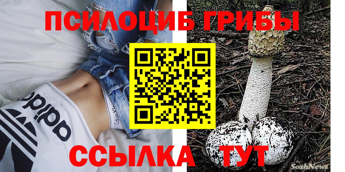 Галлюциногенные грибы мицелий Чехов