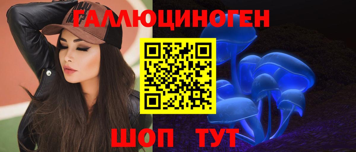 Чехов  Галлюциногенные грибы Psilocybe  Вход с VPN 